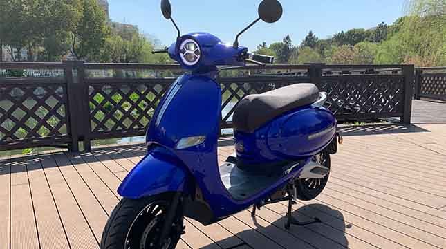 Adult Electric Moped