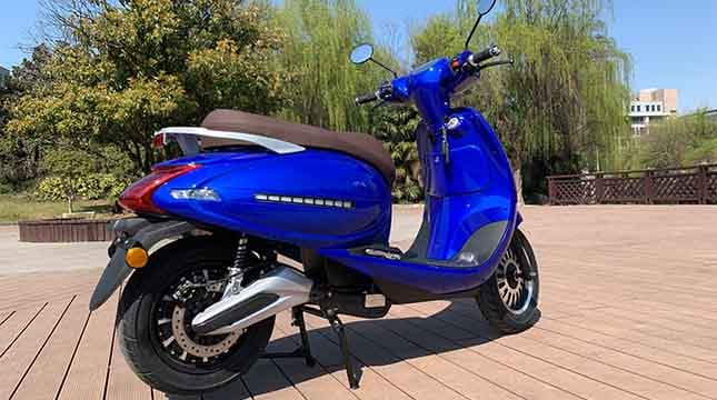 Adult Electric Moped