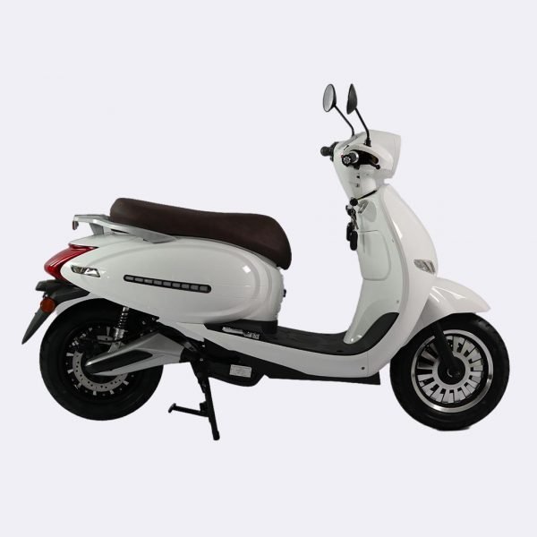 Adult Electric Moped
