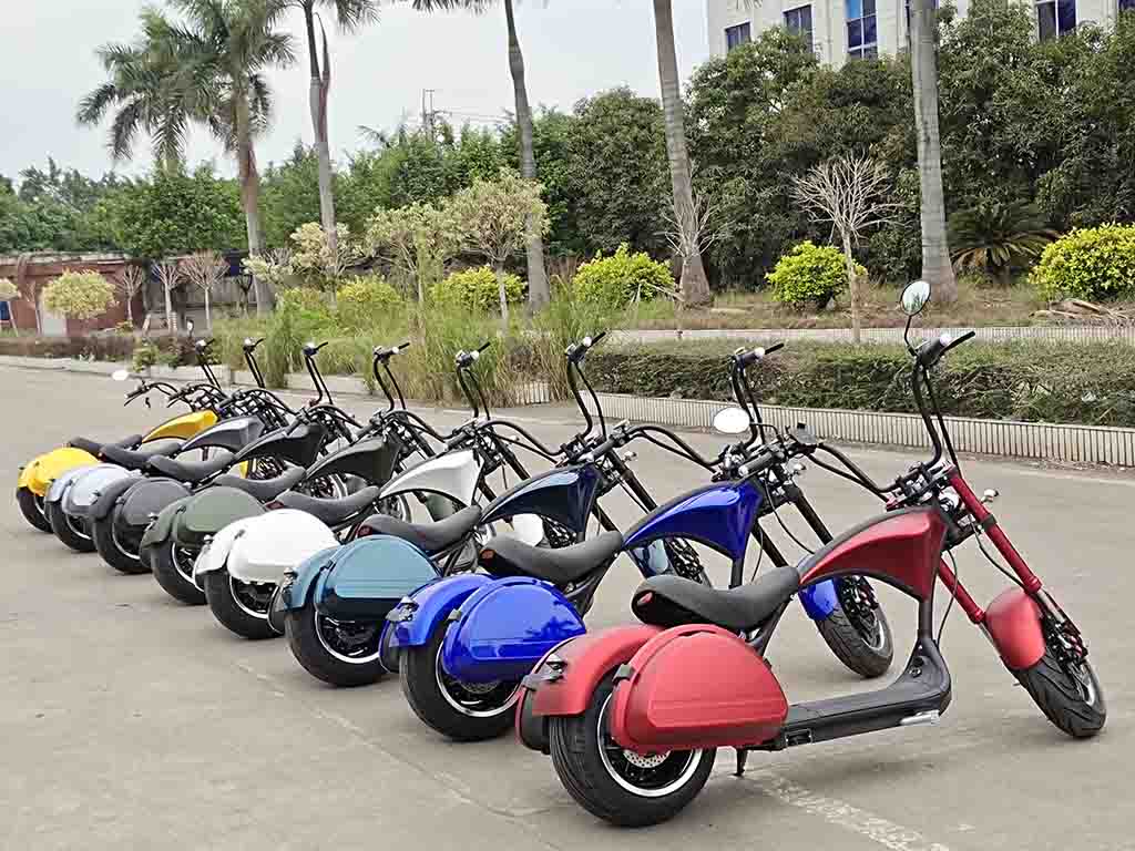 Citycoco Electric Scooter wholesale
