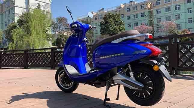 Adult Electric Moped