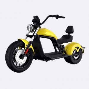 Fat Wheels Electric Scooter