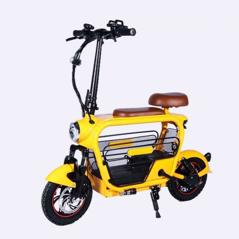LES10 Foldable Electric Scooter Bike with Pet Basket