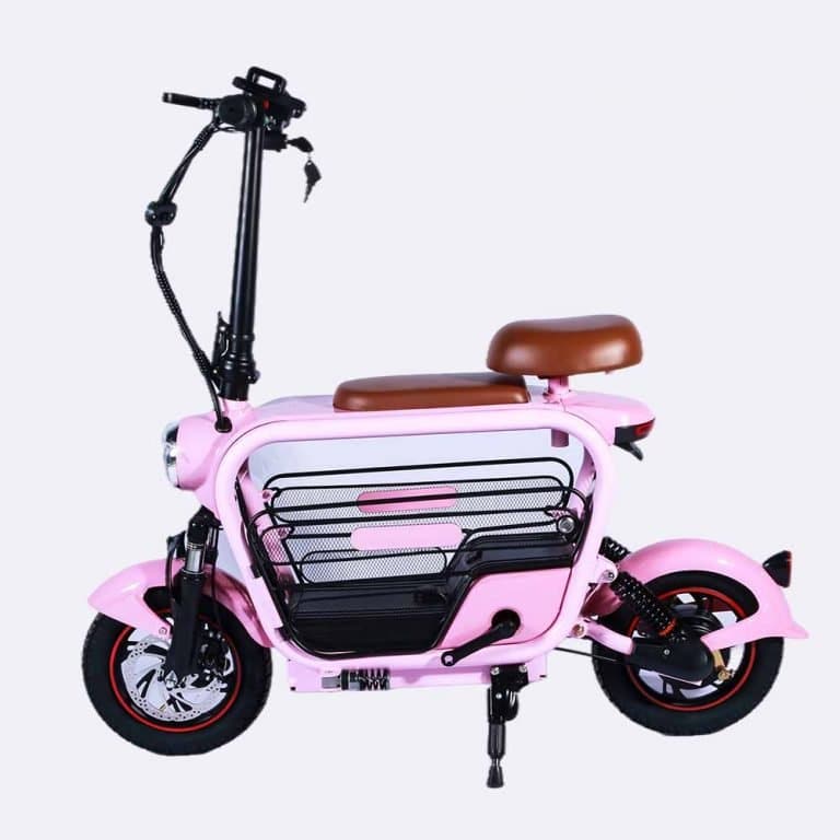 LES10 Foldable Electric Scooter Bike with Pet Basket