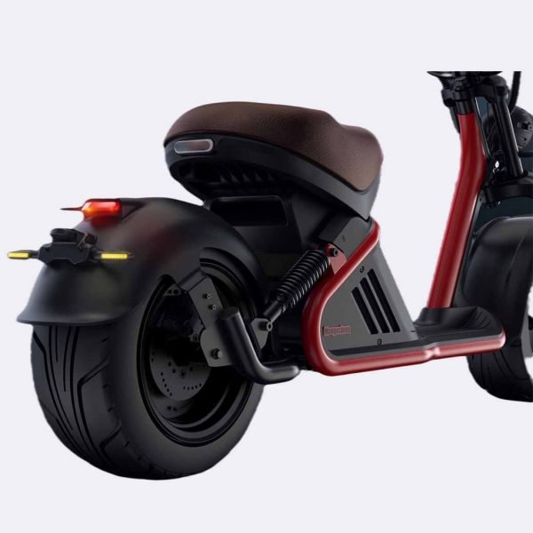 fat tire scooter 2000w