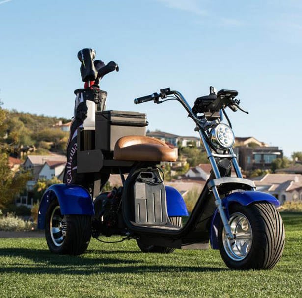 electric fat tire golf scooter