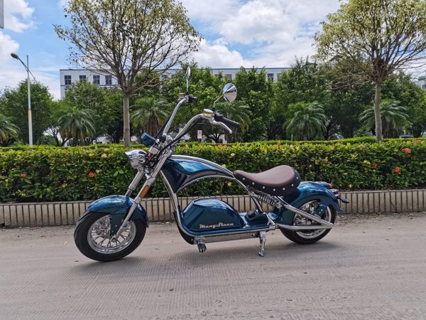 Linkseride Luxury Citycoco Scooter M1PS