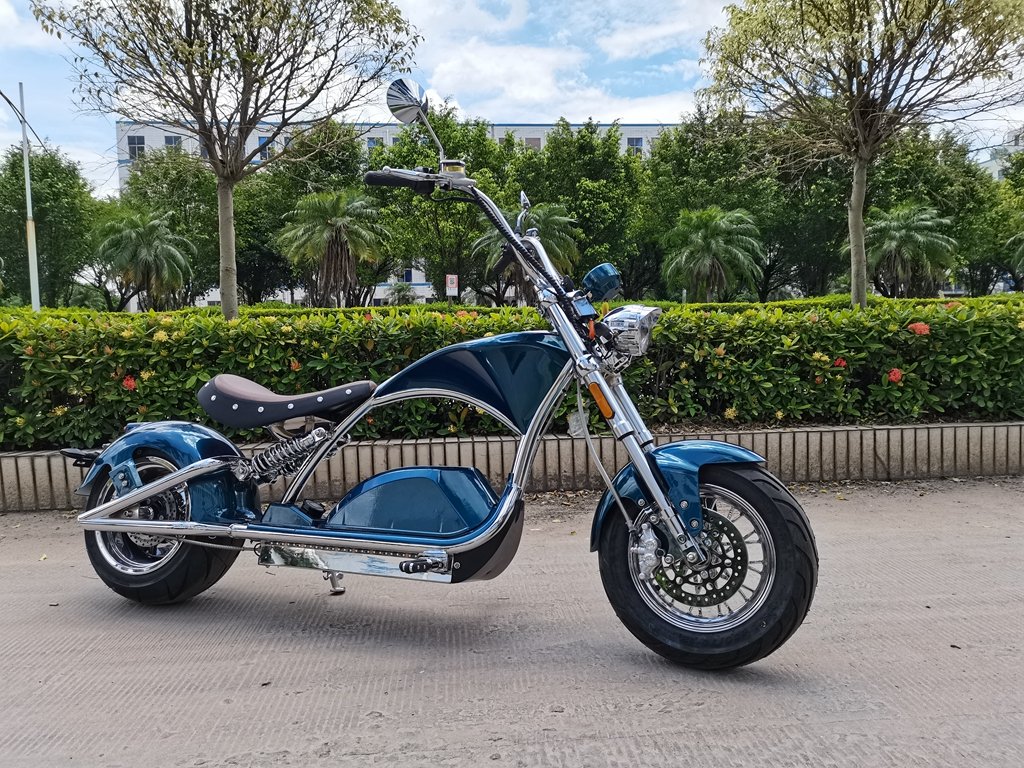 Linkseride Luxury Citycoco Scooter M1PS