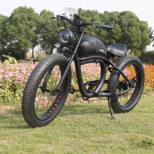 fat tire ebike
