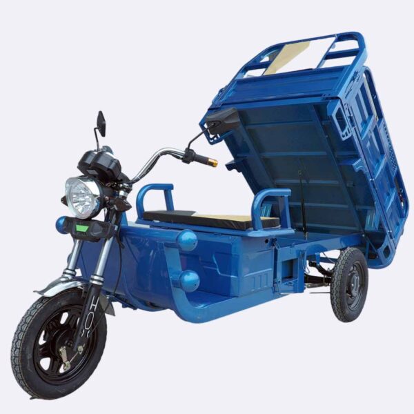 Linkseride LET-05 Three Wheels Cargo Tricycle 1000W 60V - Image 3