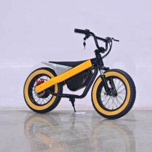 electric balance bike