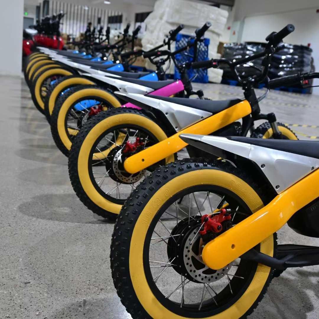 electric balance bike