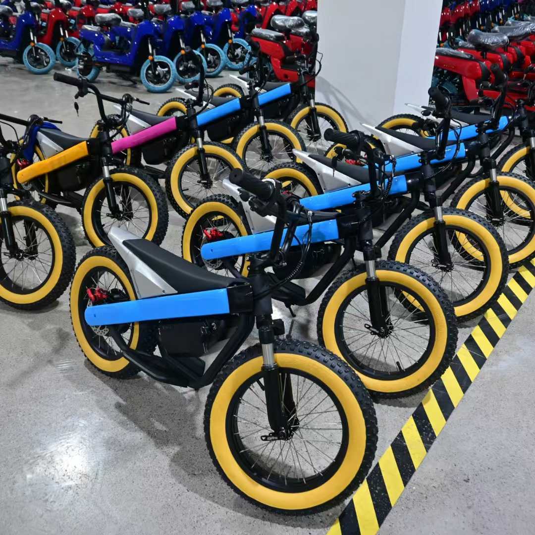 electric balance bike