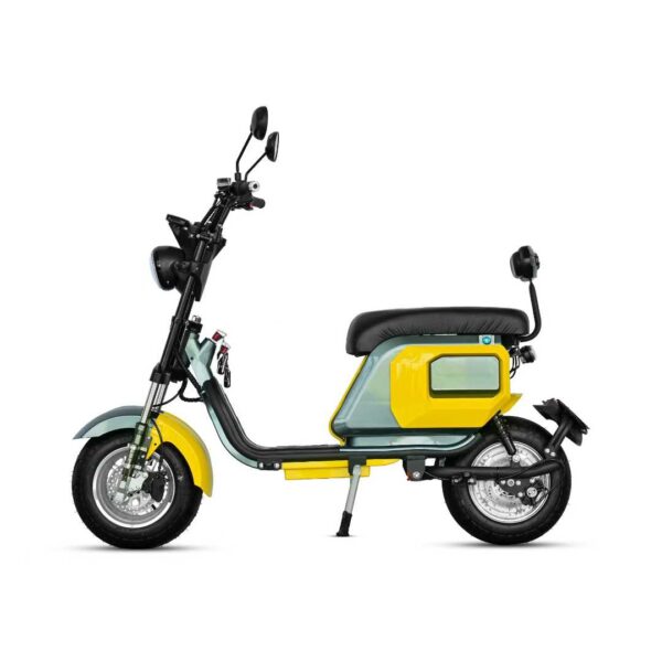 Electric Citycoco E-Scooter