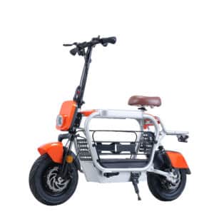 Electric Bike with Dog Carrier