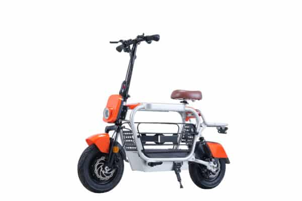 Electric Bike with Dog Carrier