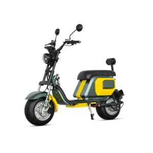 Electric Citycoco E-Scooter