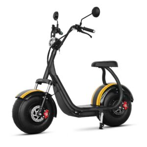 Cheap Electric Citycoco