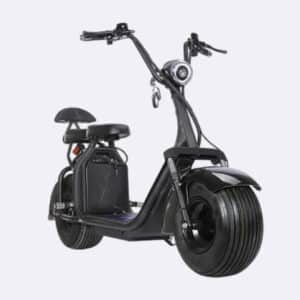 classic citycoco electric scooter